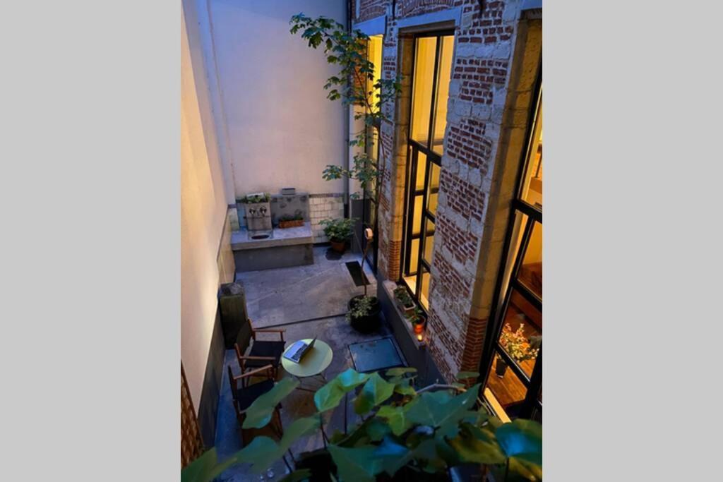 Duplex In Historical Centre With Private Courtyard Lejlighed Antwerpen Eksteriør billede