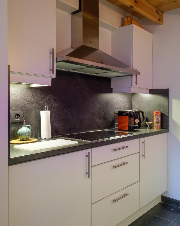 Duplex In Historical Centre With Private Courtyard Lejlighed Antwerpen Eksteriør billede