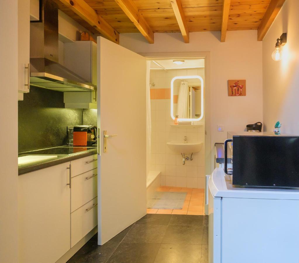 Duplex In Historical Centre With Private Courtyard Lejlighed Antwerpen Eksteriør billede